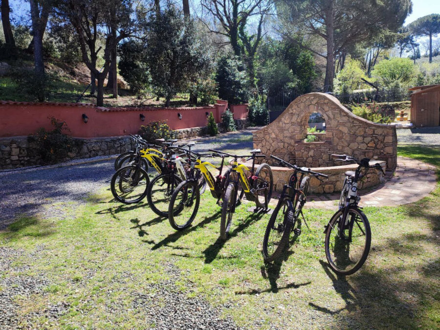 Full Suspension - immagine 3